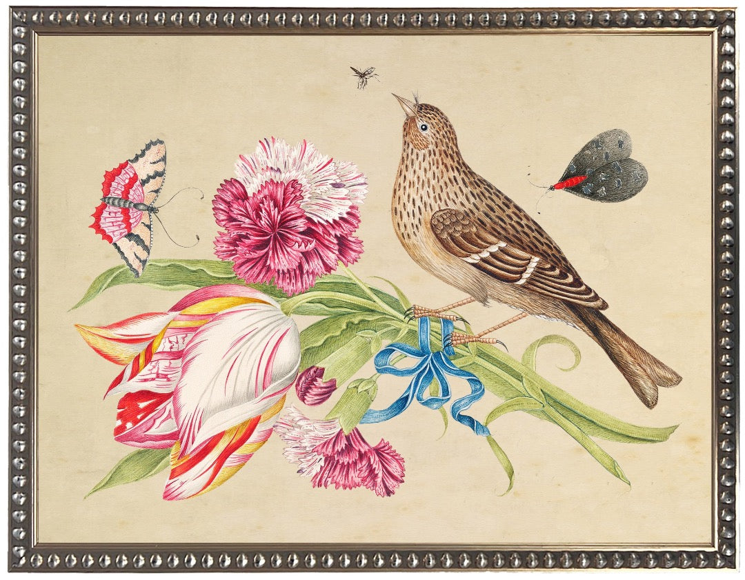 Vintage Bookplate With Birds, Flowers And Insects On A Distressed Natural Background