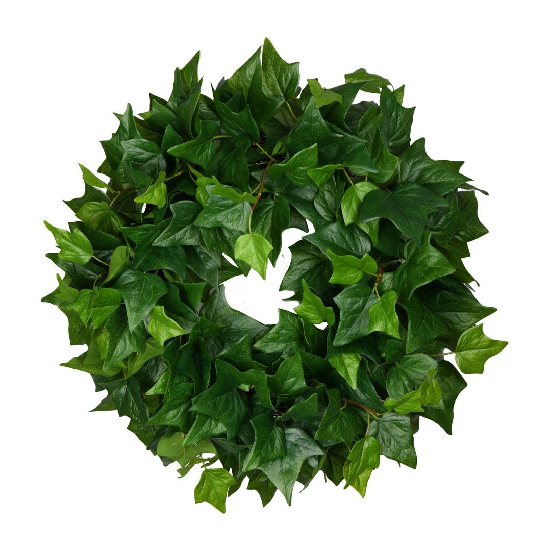Ivy Wreath Green 24''