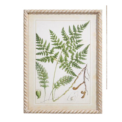 Botanical Greenery Framed Print 23.5" x 15.75" (In Store Pick Up Only)