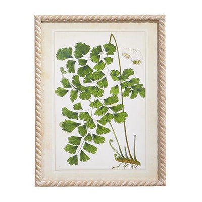Botanical Greenery Framed Print 23.5" x 15.75" (In Store Pick Up Only)