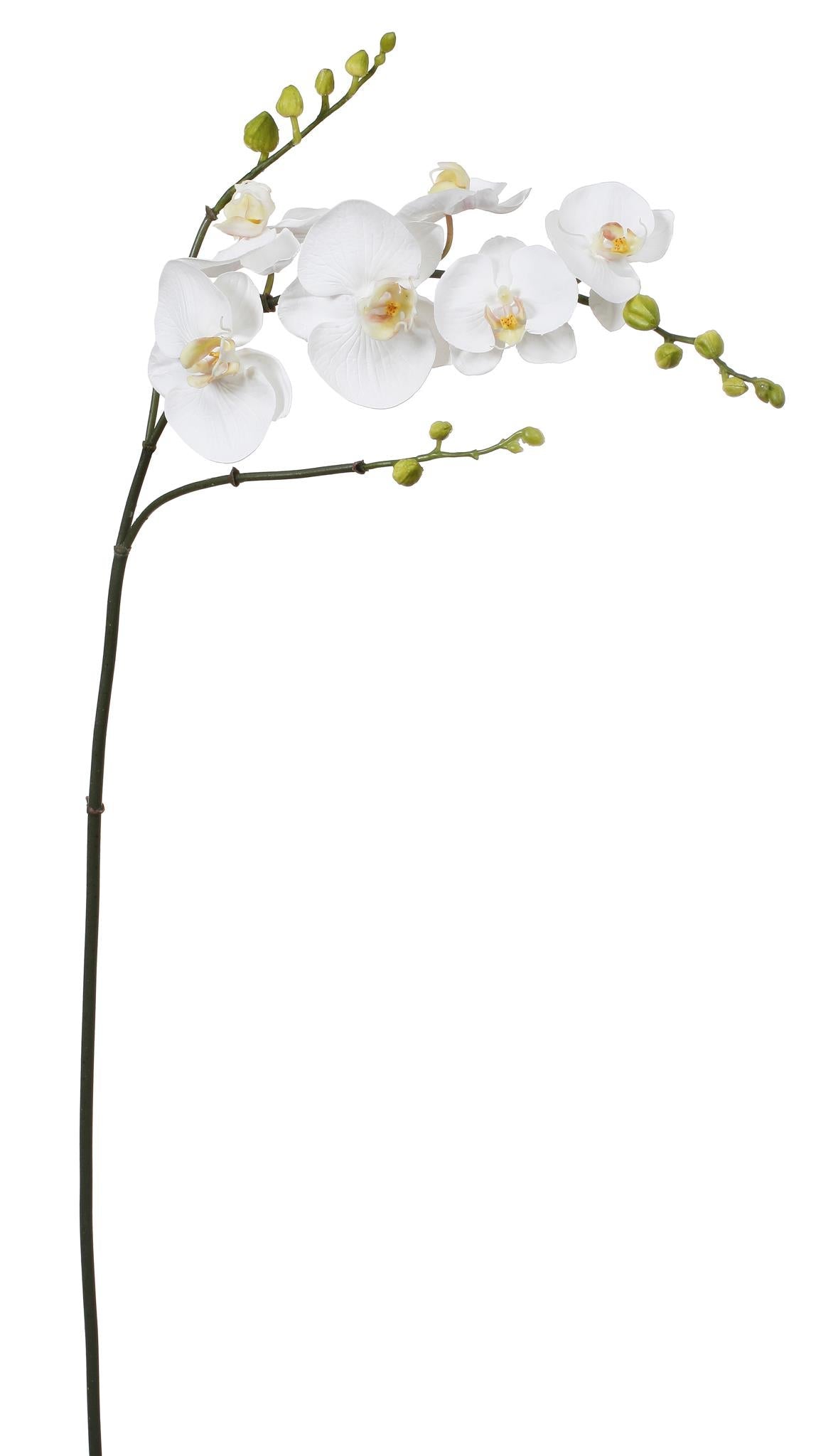 Orchid Phalaenopsis Spray 37''