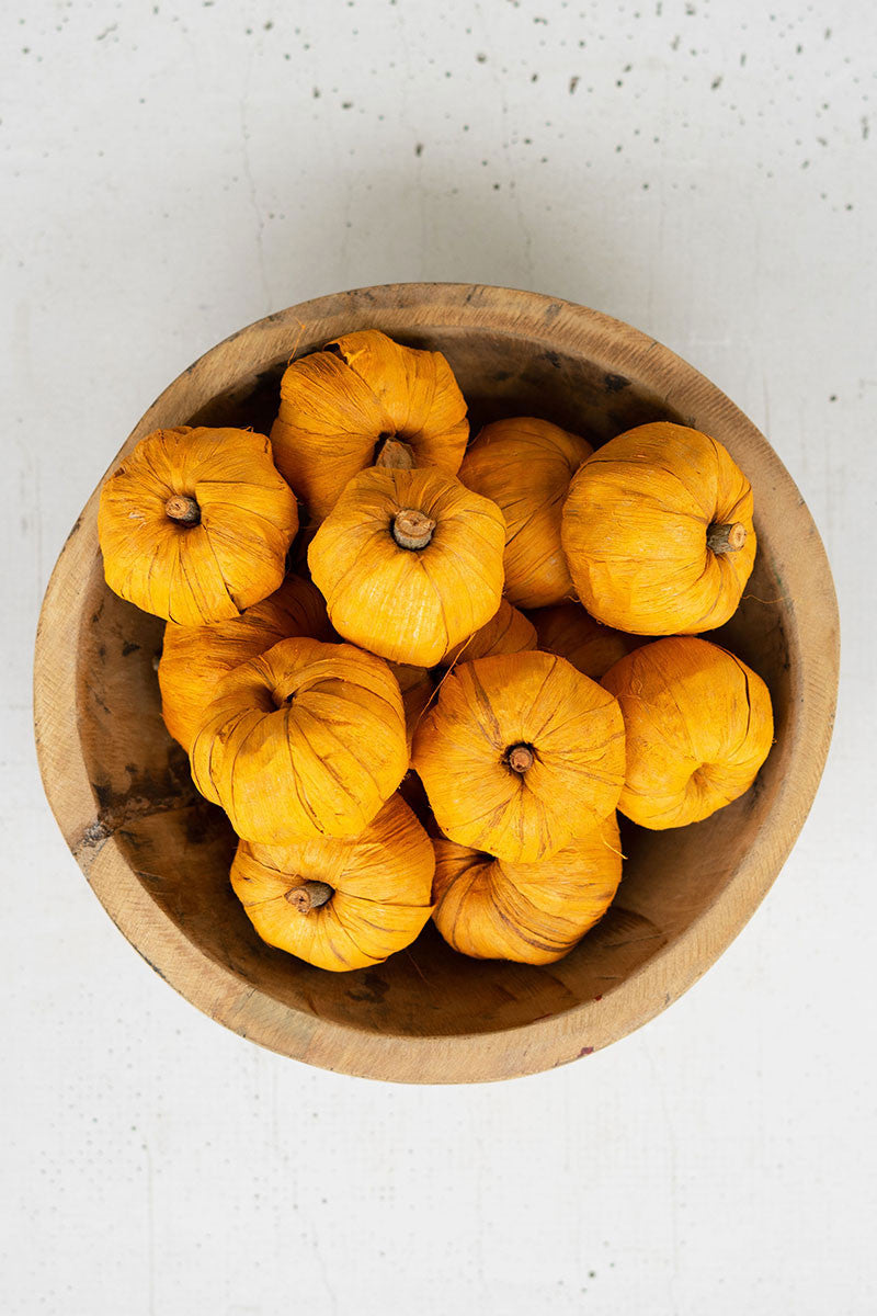 Bag of Dried Orange Miniature Pumpkins