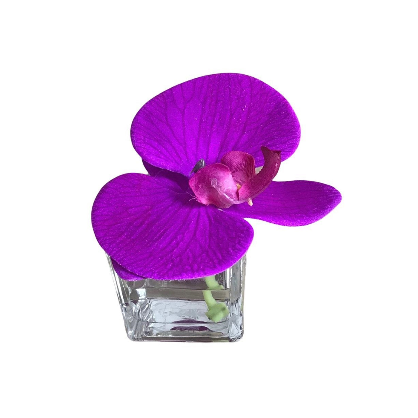 Purple Silk Cymbidium Orchid in 2" Glass Container