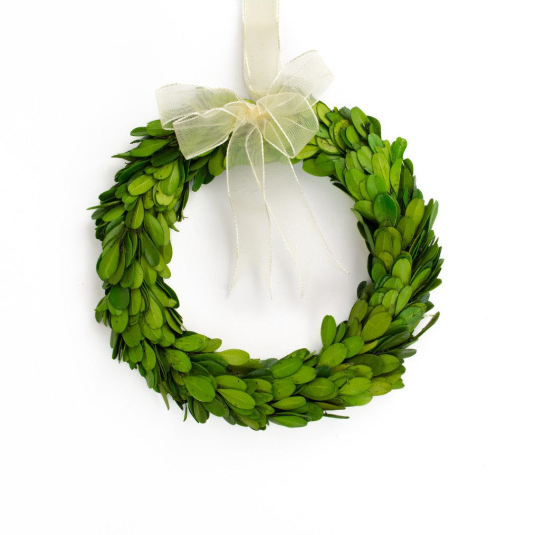 Preserved Boxwood Wreath-Round with Ribbon 8"