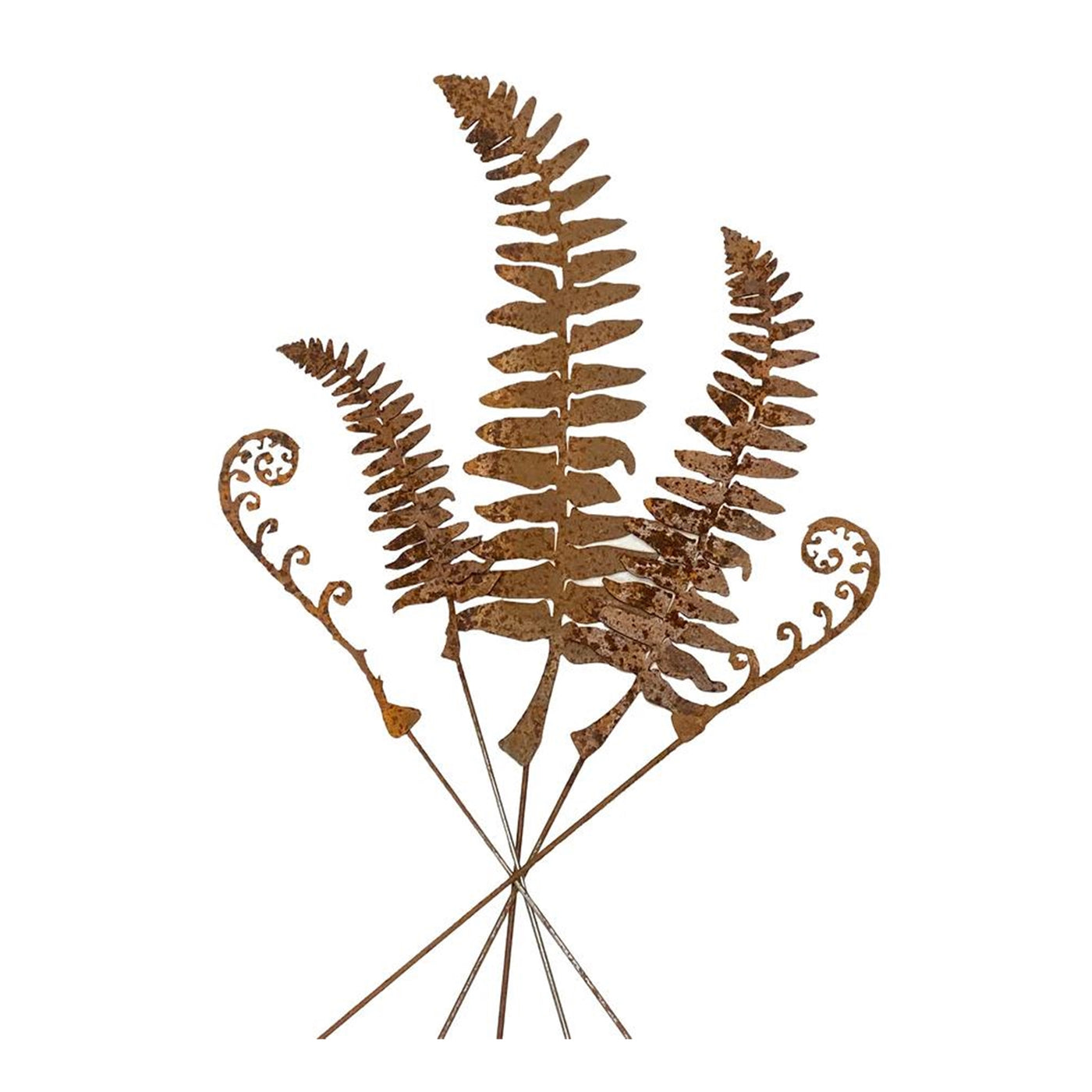 Fern Leaves and Frond Stake