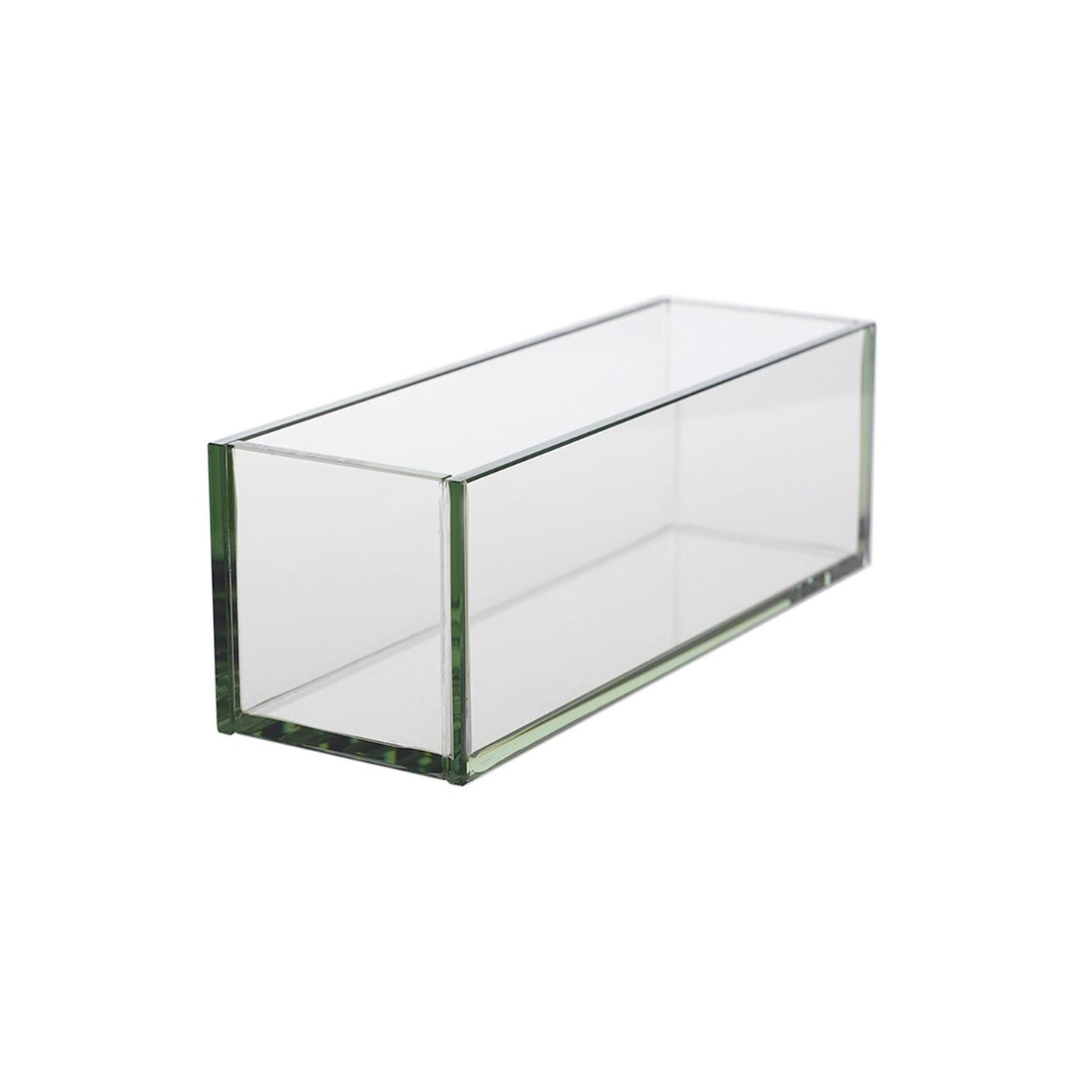 Rectangular Plated Glass Planter Box  4" x 12" - CANNOT SHIP