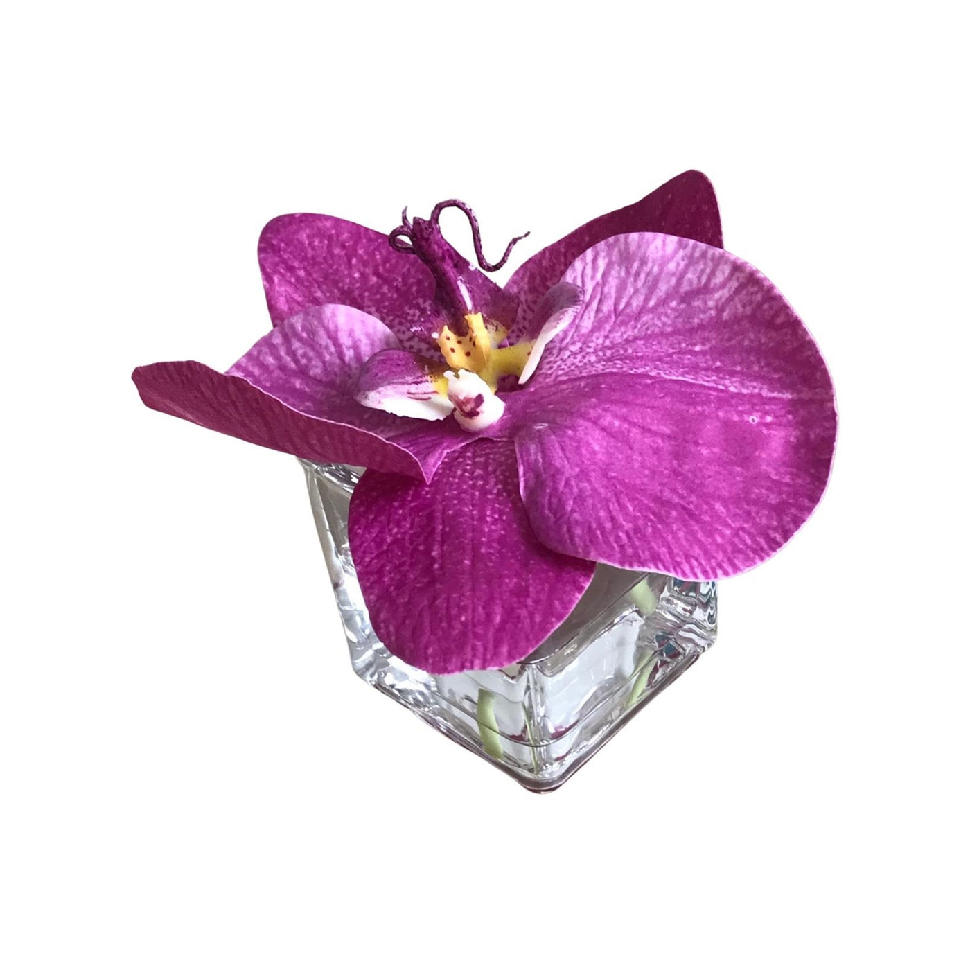 Fuschia Silk Cymbidium Orchid in 2" Glass Container