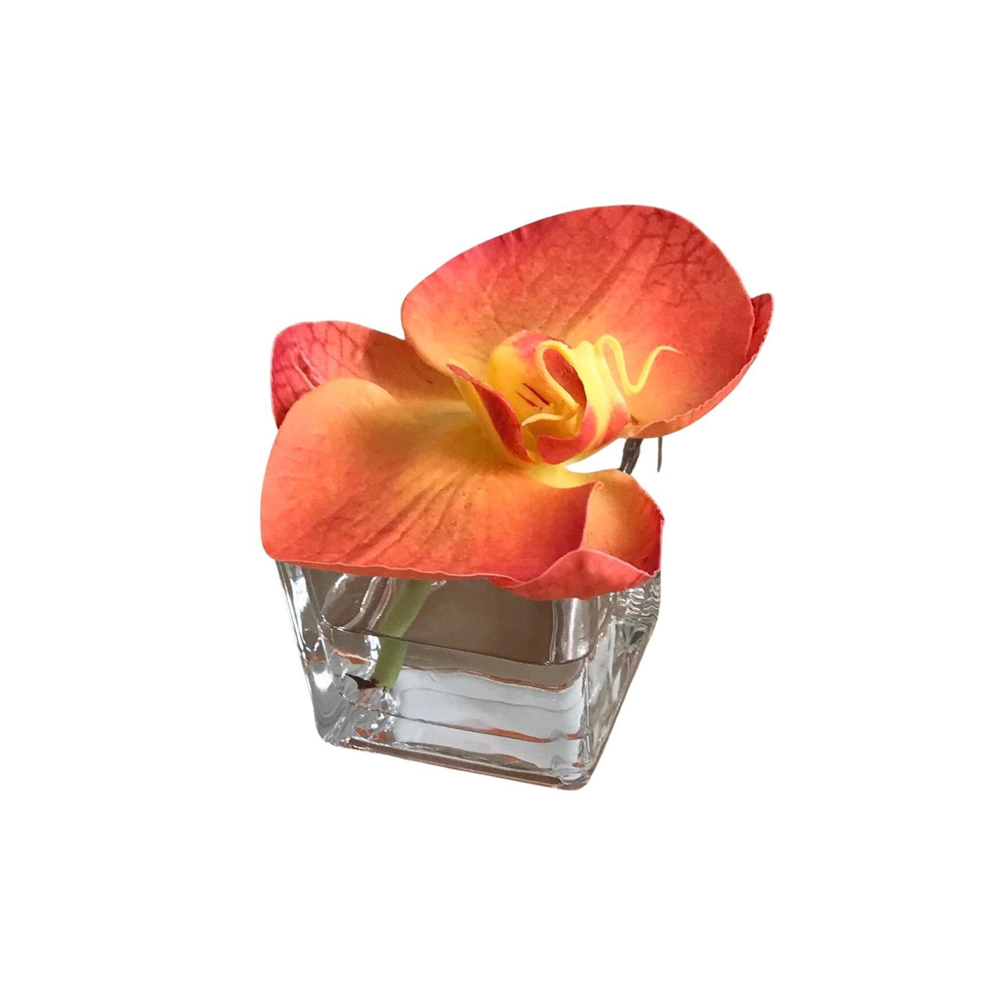 Orange/Yellow Orchid in 2" Glass Container