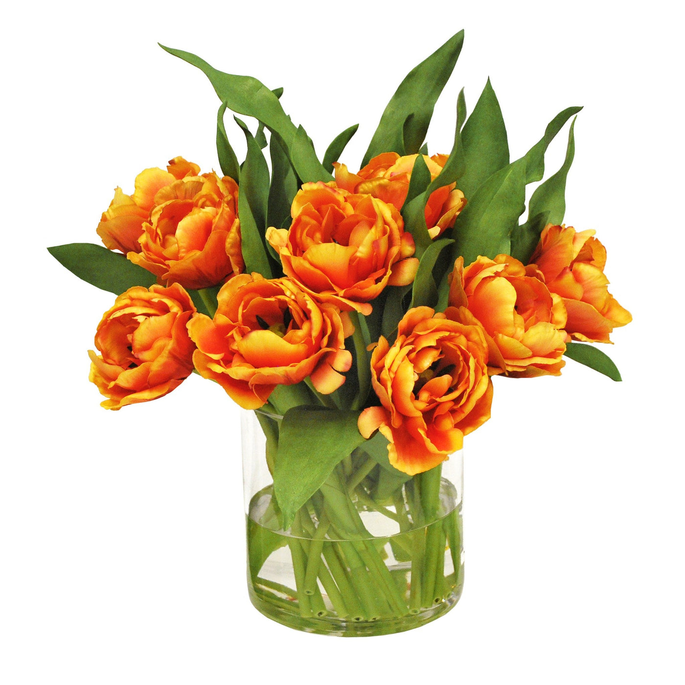 Double Tulip Vase 14''