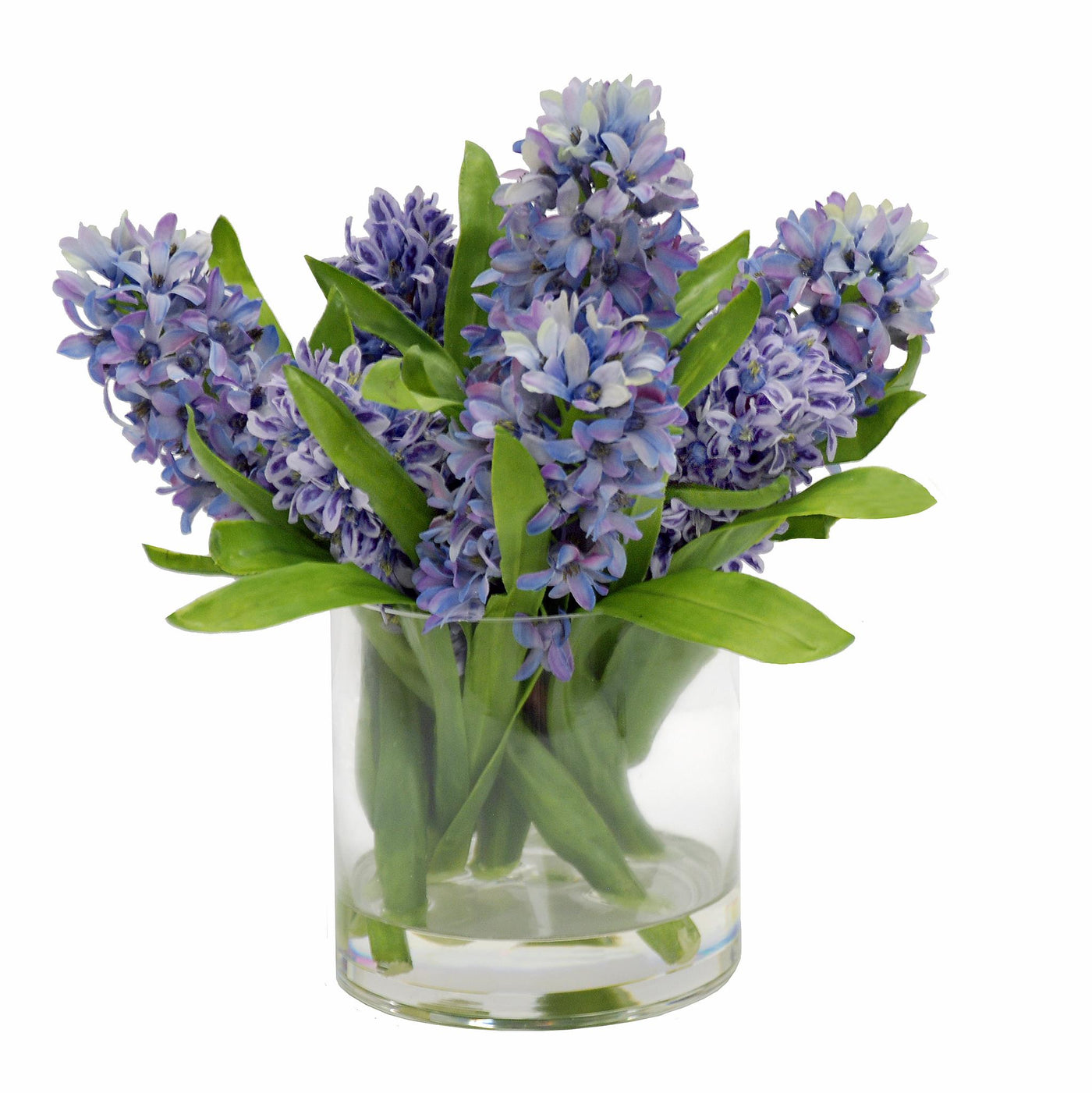 Hyacinth In Cylinder Glass 13.5''(*IN STORE PICKUP ONLY)