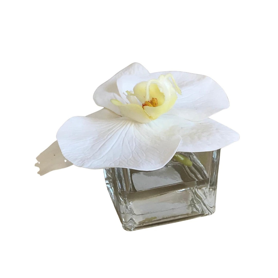 White Silk Phalaenopsis Orchid in 2" Glass Container